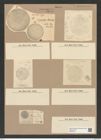 Coscinodiscus subglosus Grun. (de-Toni-Nr.: Genus 202, Species 4916) Zeichnungen Sammlung Grunow Nr. 8685 (NHMW-BOT-W0378103)
